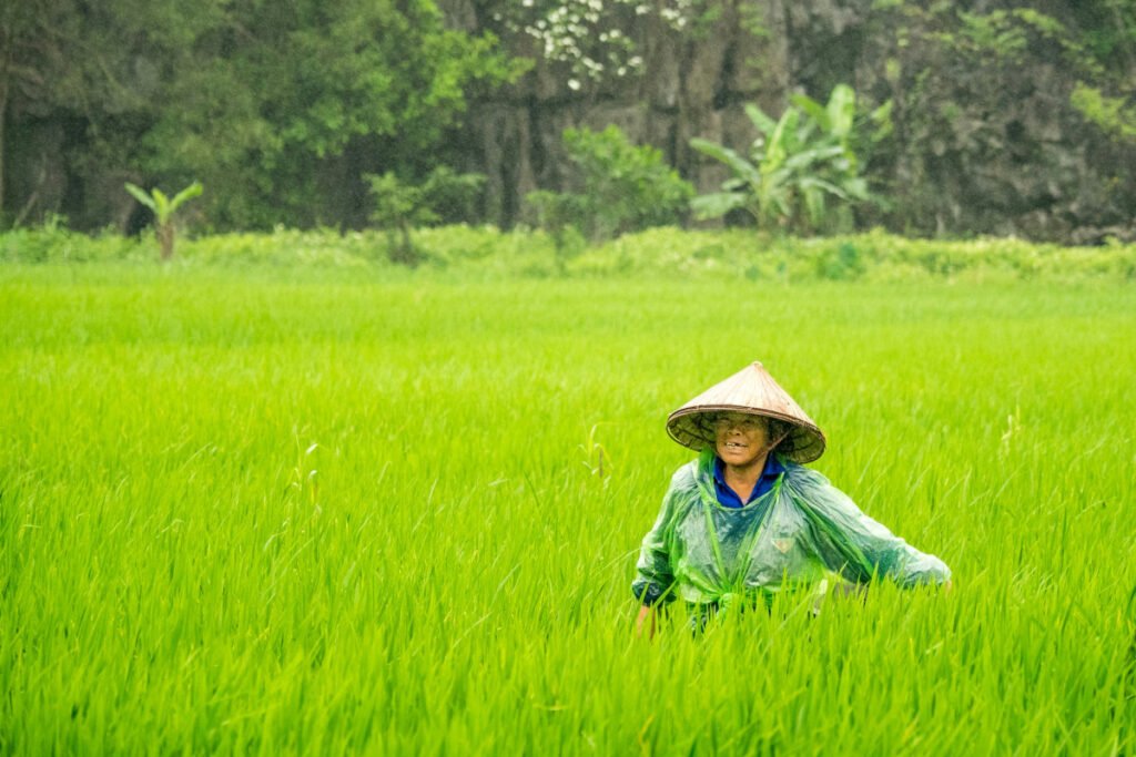 Potensi Malaysia meneraju ekonomi kitaran sektor pertanian ASEAN